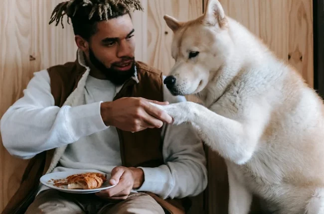 Best value daily goods for pet owners on a budget: 5 - Best value daily goods for pet owners on a budget