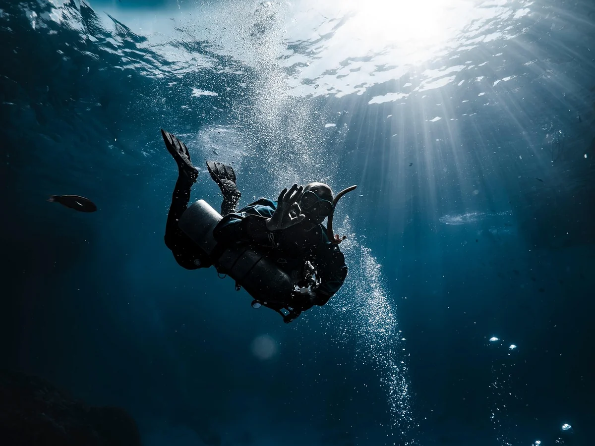 diver, underwater, dive, man, sports, backlighting, nature, sea - deep dive into the best water filtration systems for city apartments