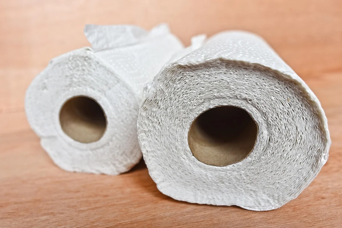 kitchen towel, kitchen paper, roll, cleaning, sanitary, wipe, household, domestic, kitchen towel, kitchen towel, kitchen towel, kitchen towel, kitchen paper, kitchen paper, kitchen paper, kitchen paper, kitchen paper - essential household checklist for firsttime apartment renters