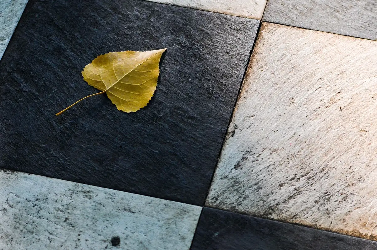 leaf, tiles, floor, autumn, nature, tiles, tiles, tiles, tiles, floor, floor, floor, floor, floor - most reliable dailyuse gadgets for outdoor and patio living