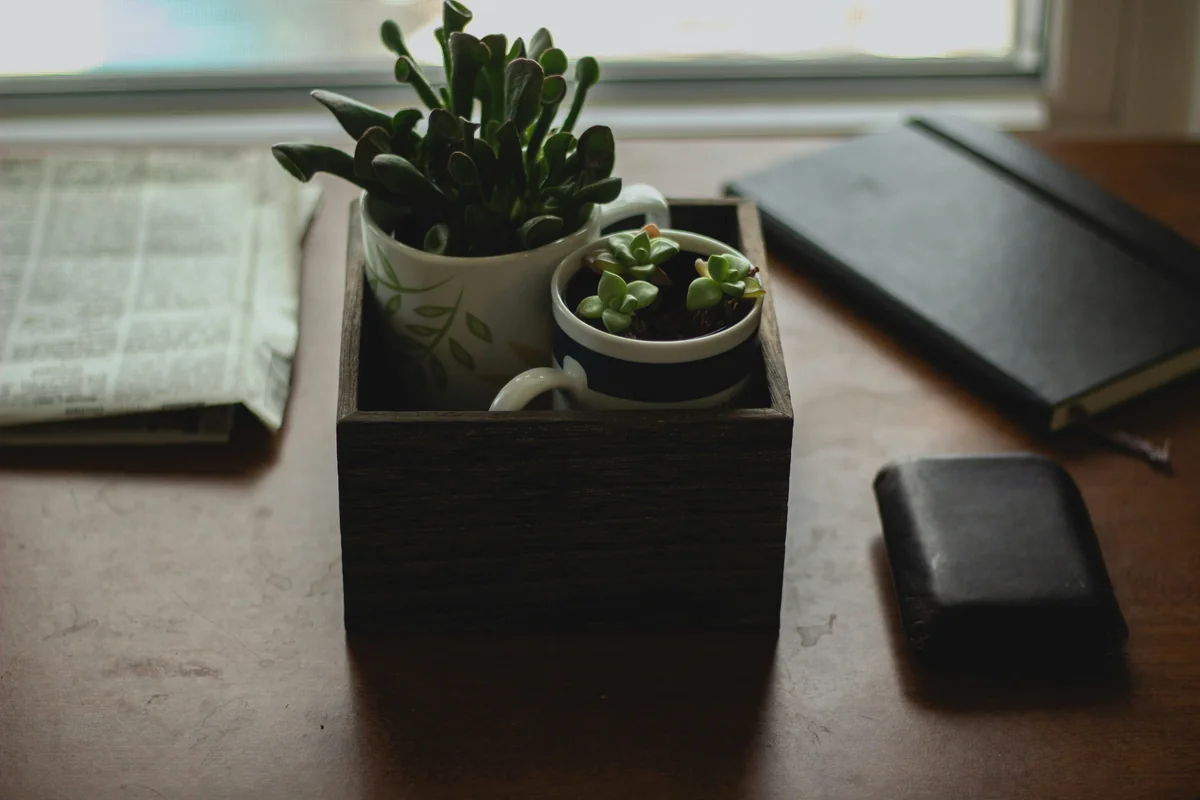 Morning Vibes - top minimalist daily products for a clutterfree life