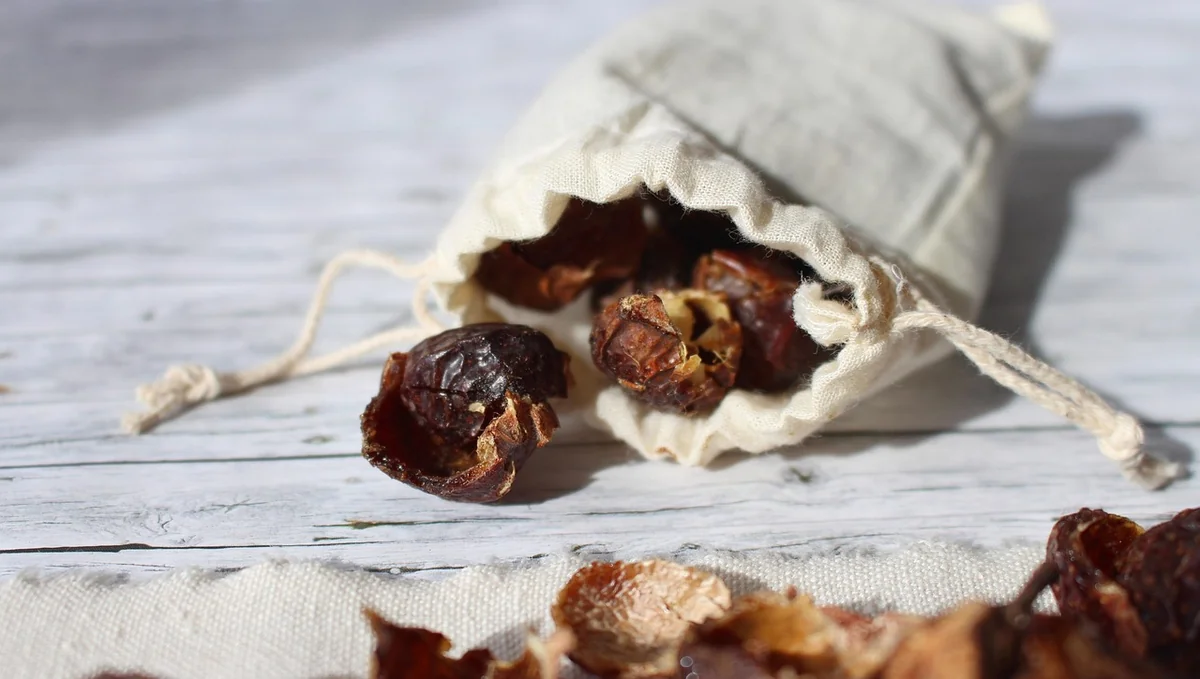 soap nuts, to wash, soap, hygiene, clean, nature, cleaning, maintenance, naturally, household, zero waste, sustainable, alternative, healthy, bio, laundry, bag, leinbeutel, plastic free, summer - unearthing the best sustainable alternatives for everyday plastic