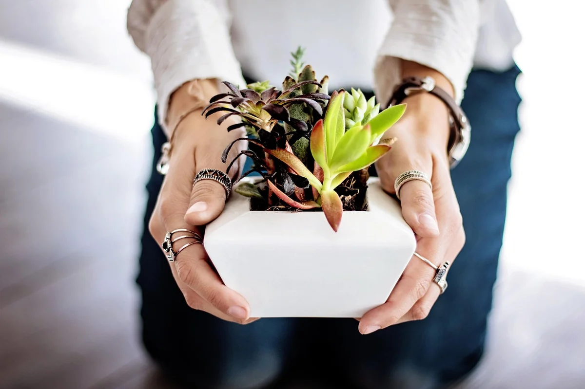 Unique and practical gift ideas for minimalist homes: 5 - Unique and practical gift ideas for minimalist homes