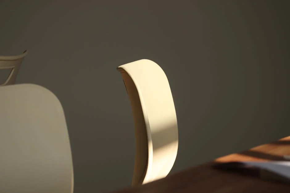 A minimalist office chair in soft sunlight casting dramatic shadows indoors. - user experience report on ergonomic dailyuse furniture